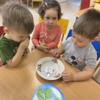 «Бумажные цветы»