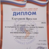 «Кубок новичка»