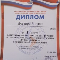 «Кубок новичка»