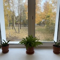 «Озеленение школы»