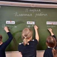 «Здоровое питание -залог здоровья»