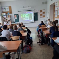 «Земли живительная сила»